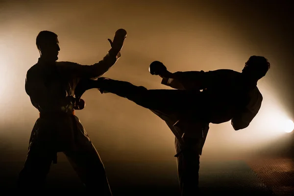 Retrato Branco Profissional Taekwondo Faixa Preta Grau Dan Executar Pontapé — Fotografia de Stock