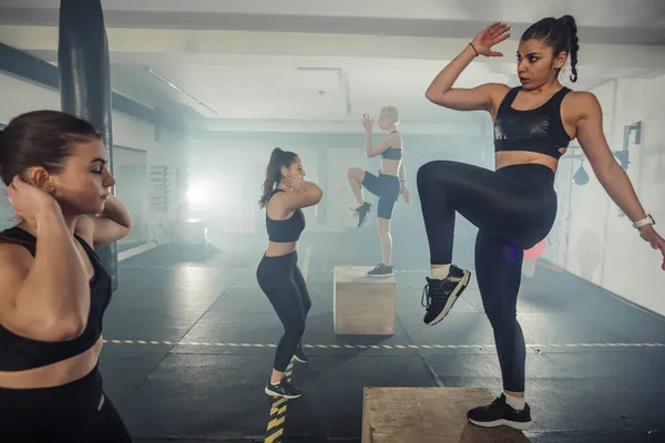 A female group having functional fitness training doing standing crunches and step up in sport gym