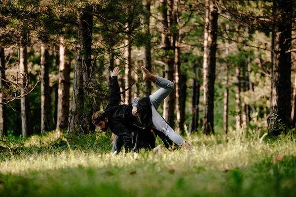 Lese Tančí Dvě Popelky Baví — Stock fotografie