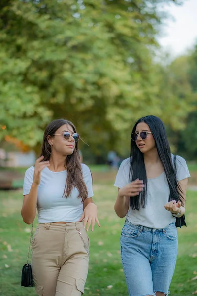 Deux Meilleures Amies Ont Une Conversation Sérieuse Marchant — Photo