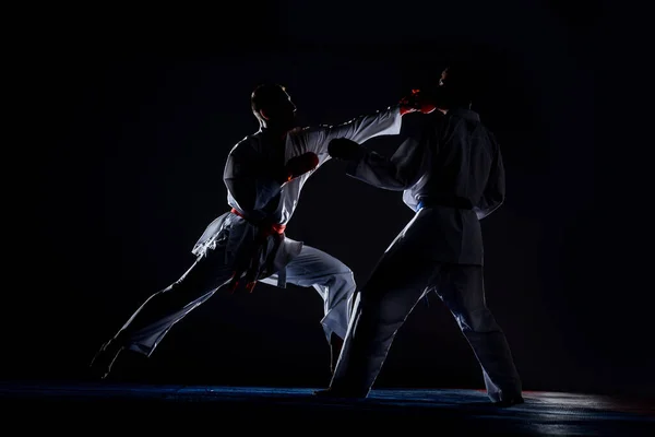 Strong fit athlete, karate man or fighter in white kimono, suit, with belt posing in fighting stance