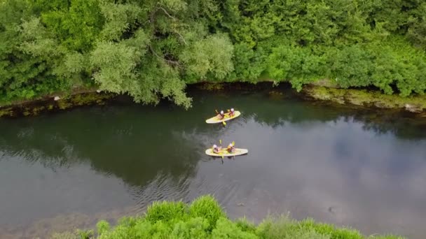 Dwie Pary Przyjaciół Pływają Razem Kajakiem Rozmawiając Sobą — Wideo stockowe