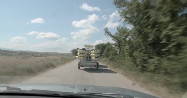 Vänner Går Alla Tillsammans Till Träningsplatsen För Kajakpaddlingen — Stockvideo