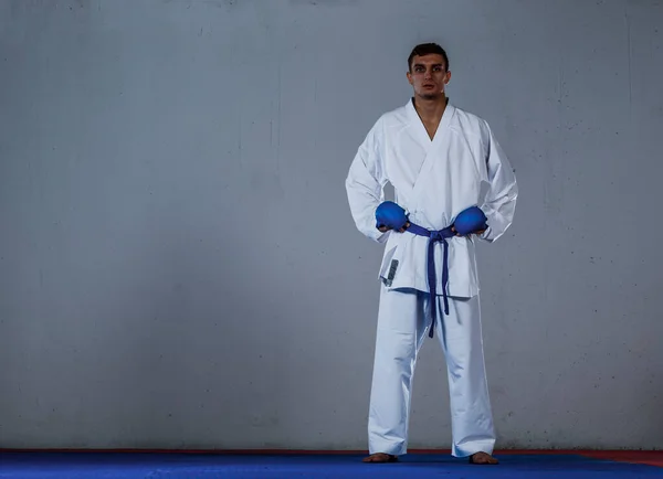 Porträtt Vit Professionell Taekwondo Blå Bälte Examen Dan Förbereder Sig — Stockfoto