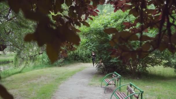 Menarik Dan Indah Gadis Gadis Berjalan Jalur Merah — Stok Video