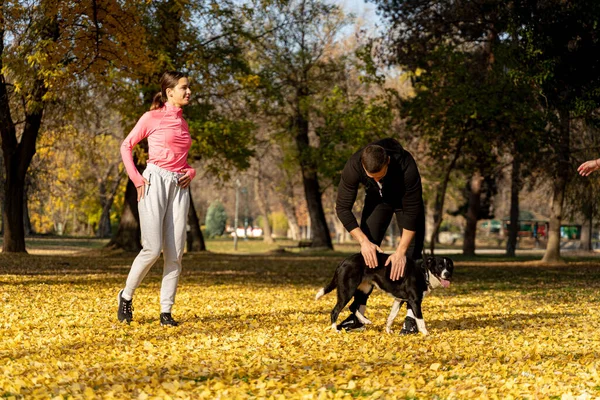 Zwei Erstaunliche Freunde Streicheln Den Hund Beim Aufwärmen Park — Stockfoto
