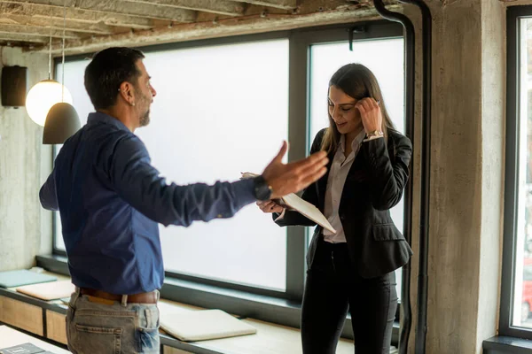 Dos Personas Negocios Increíbles Hermosas Están Discutiendo Sobre Proyecto —  Fotos de Stock