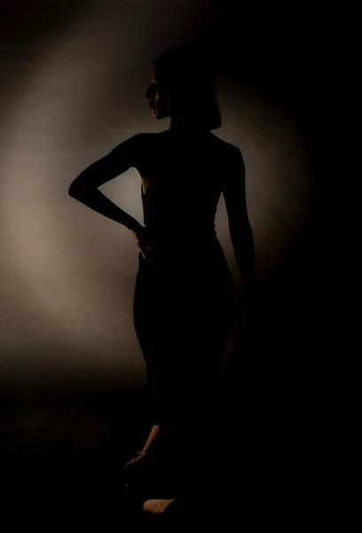 Perfect Silhouet Van Elegante Vrouw Zwarte Jurk Puntschoenen — Stockfoto