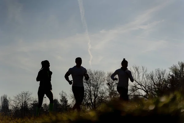 草の上を走る3人のランナーのシルエット 低い角度 — ストック写真