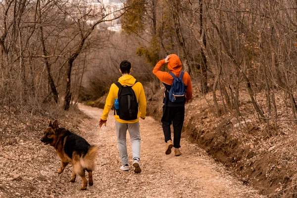 素晴らしいとハンサムな男性の友人は一緒に森の中のパスに自分の犬を歩いている — ストック写真