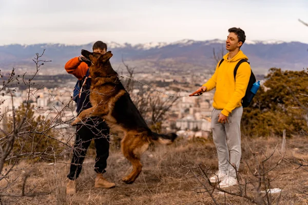 Des Amis Masculins Attrayants Beaux Jouent Avec Chien Dans Forêt — Photo