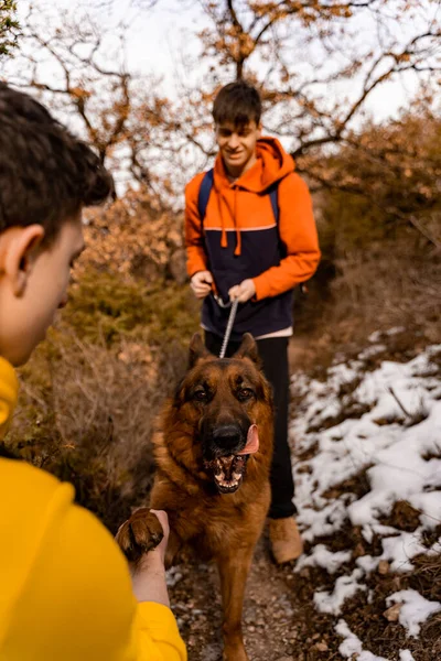 Tolle Und Gut Aussehende Männliche Freunde Spielen Mit Ihrem Hund — Stockfoto