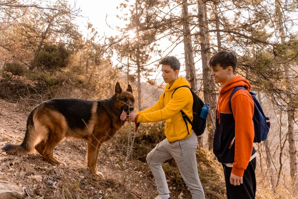 Tolle Und Gut Aussehende Männliche Freunde Wandern Mit Dem Hund — Stockfoto