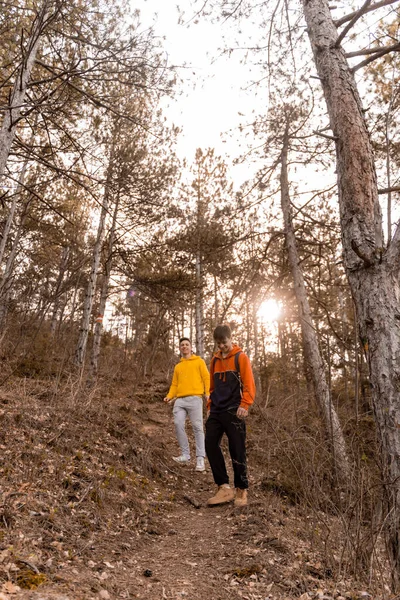 Amazing Handsome Male Friends Hiking Dog Together Forest While Enjoying — Stock Photo, Image