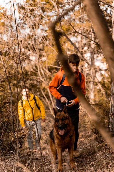 Verbazingwekkende Knappe Mannelijke Vrienden Wandelen Het Bos Met Hun Hond — Stockfoto