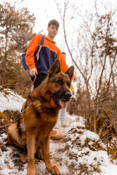 Attraente Bello Amici Maschi Stanno Prendendo Una Pausa Con Cane — Foto Stock