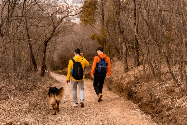 Amazing Handsome Male Friends Walking Dog Path Forest Together While — Stock Photo, Image