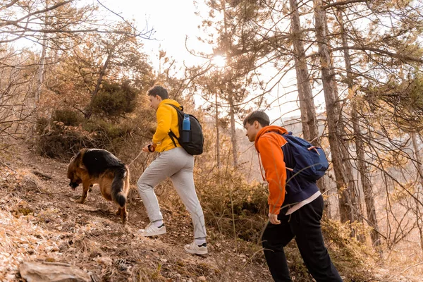 Amazing Handsome Male Friends Hiking Forest — Stock fotografie