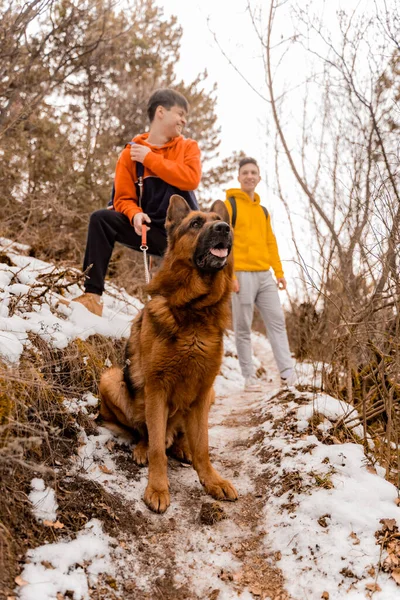 Attractive Handsome Male Friends Taking Break Dog Hte Forest While — Foto Stock