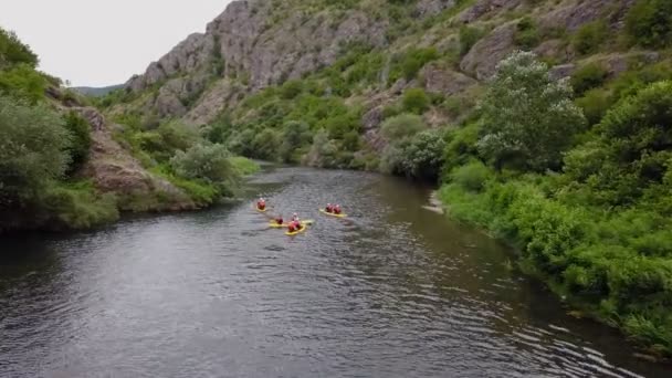 Grupa Przyjaciół Pływa Kajakiem Rozmawiając Sobą Rutynie — Wideo stockowe