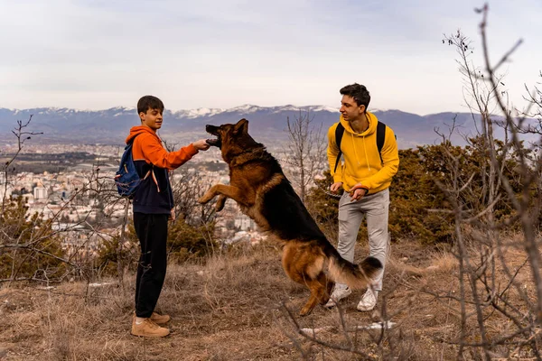 Attractifs Beaux Amis Masculins Jouent Avec Chien Dans Forêt Ensemble — Photo