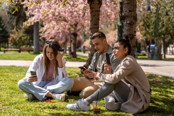 Beautiful Happy Young Caucasian People Sitting Grass Talking Chatting Relaxing — Stock Photo, Image