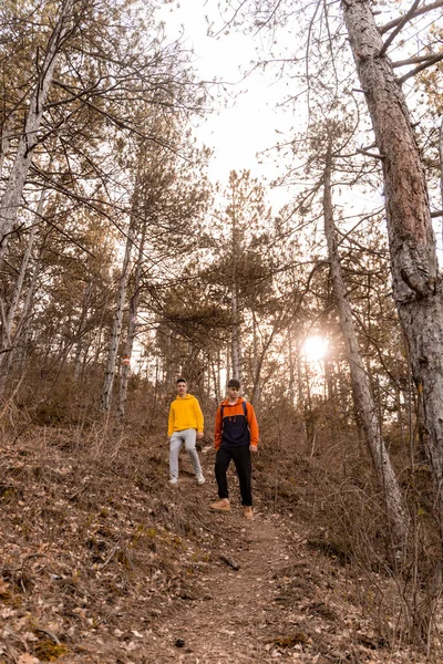 Verbazingwekkende Knappe Mannelijke Vrienden Wandelen Met Hun Hond Samen Het — Stockfoto