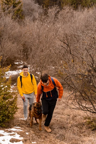 Attractive and handsome male friends are walking and smiling with their dog together in the forest while having fun