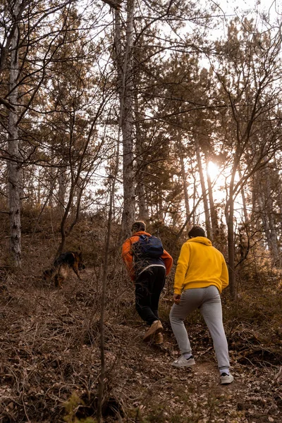 Amazing Handsome Male Friends Hiking Dog Forest While Having Fun — Stock Photo, Image