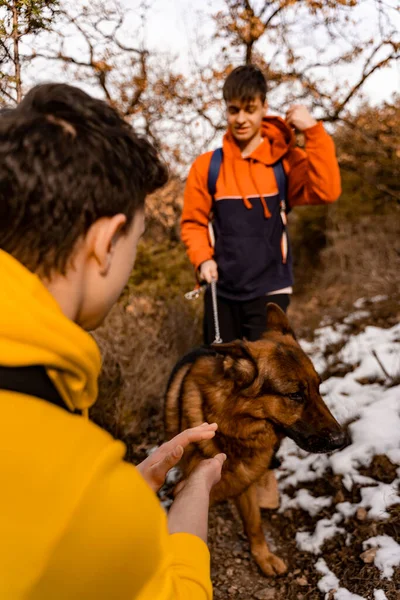 Amazing Handsome Male Friends Playing Dog Together Forest While Having — Stockfoto