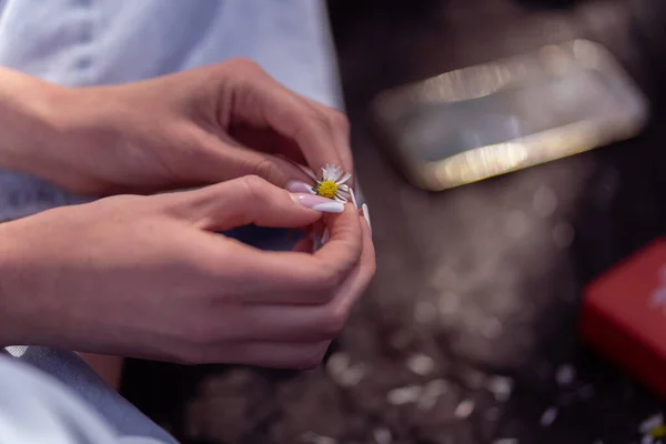 Slender young hands hold flowers, with a thin wrist, clean skin and French manicure