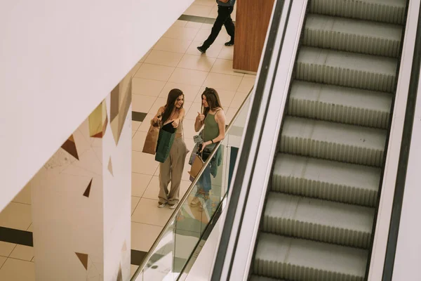 Två Vackra Flickor Står Staketet Med Sina Shoppingväskor Dem Pekar — Stockfoto