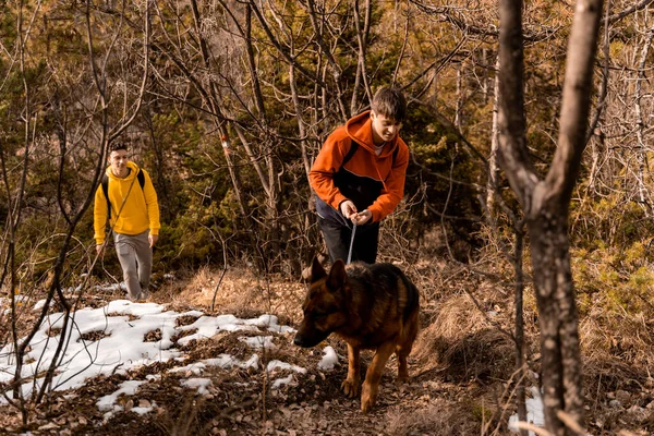Amazing Handsome Male Friends Going Hill Dog Together While Having — Stock Photo, Image