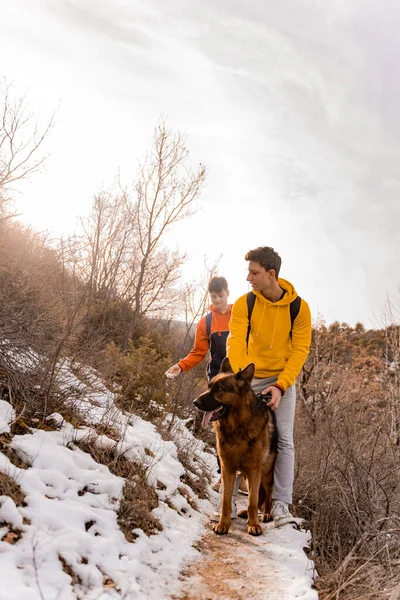 Amazing Handsome Male Friends Walking Dog Together Sunny Day While — Stock Photo, Image