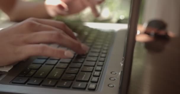 Young Entrepreneur Woman Working Terrace Sunny Day — Vídeo de Stock