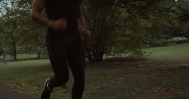 Άνθρωπος Τρέχει Στο Πάρκο Φθινόπωρο — Αρχείο Βίντεο