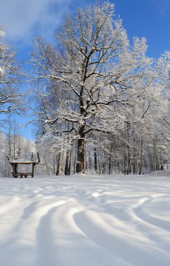 abstracción de Internet.