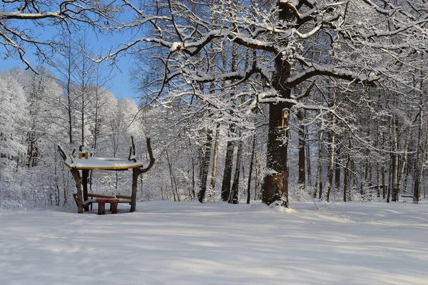 Zimní Les v chlad. — Stock fotografie