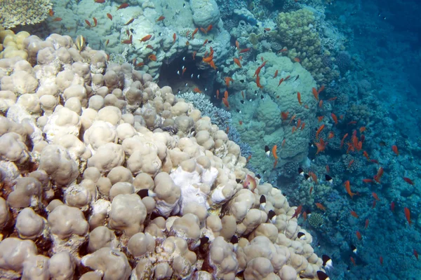 Underwater jaskini — Zdjęcie stockowe