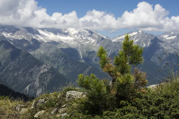 South Tyrol 0170 — Stok fotoğraf