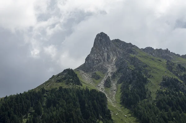 Południowy tyrol 0191 — Zdjęcie stockowe