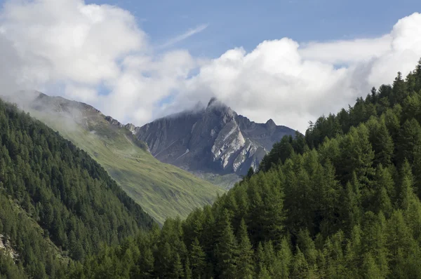 Tirol do Sul 0194 — Fotografia de Stock