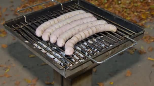 Grillwurst — Stockvideo