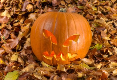 Cadılar Bayramı Balkabağı 2