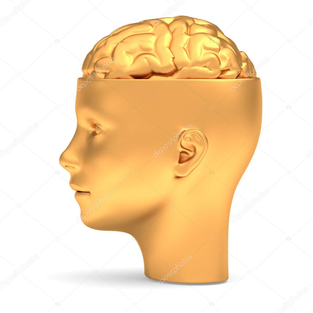 Gold brain in side
