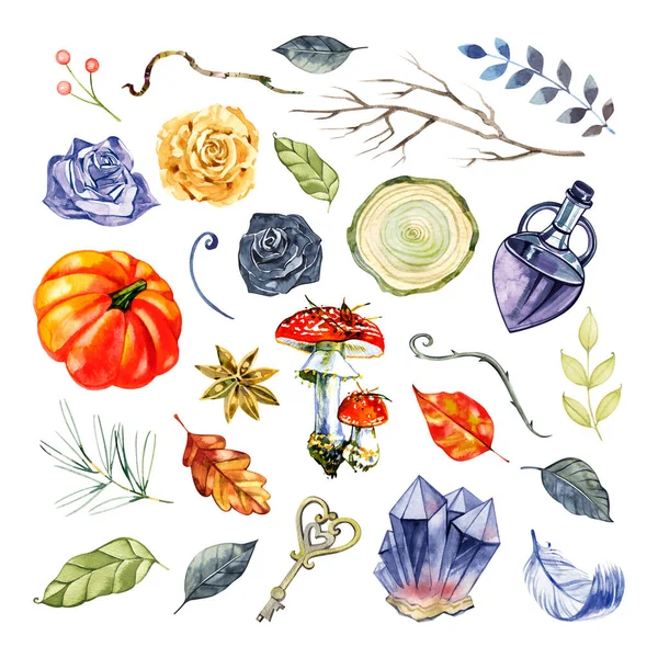 Illustrazione acquerello Halloween isolato su uno sfondo bianco. Gemme, rose, funghi, foglie, bottiglia, zucca. Biglietto d'auguri acquerello — Foto Stock