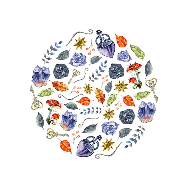 水彩画植物图解,花环,秋花,枯叶,圆形框架,秋天,剪贴画,白色背景隔离. — 图库照片