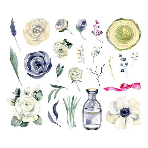 Watercolor floral elements set. Hand drawn illustration isolated on white background. Can be used in greeting cards, wedding invitations, birthday, package design or fabric — Stock fotografie