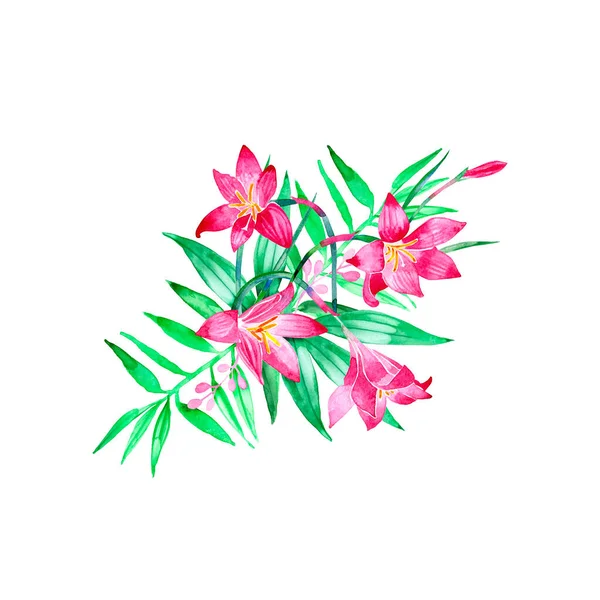 エキゾチックな熱帯の花の花束の花の水彩デザインセット. — ストック写真