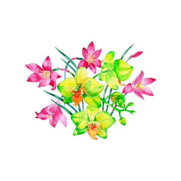 水彩イラストレーション、蘭の花とグリーンの葉、花束、花の組成物は、白い背景で隔離 — ストック写真